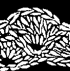 Shell Crochet Stitch and Open Shell Crochet