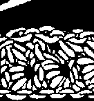 Slanting Stitch and the Star Crochet Stitch