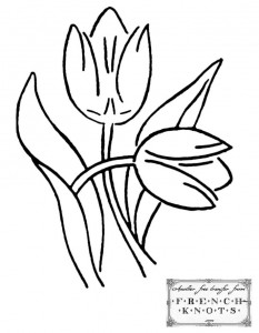 tulips